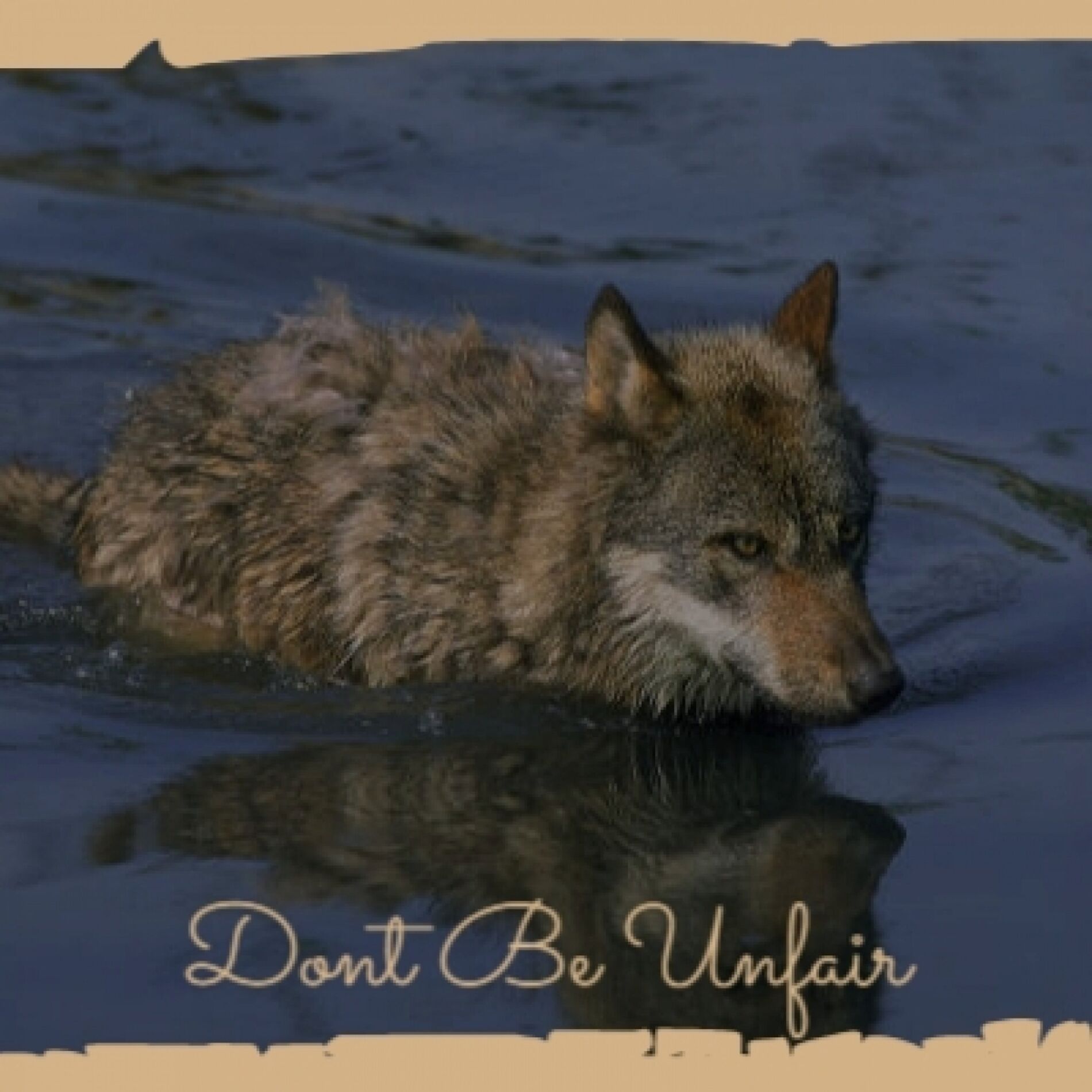 Album cover of Dont Be Unfair