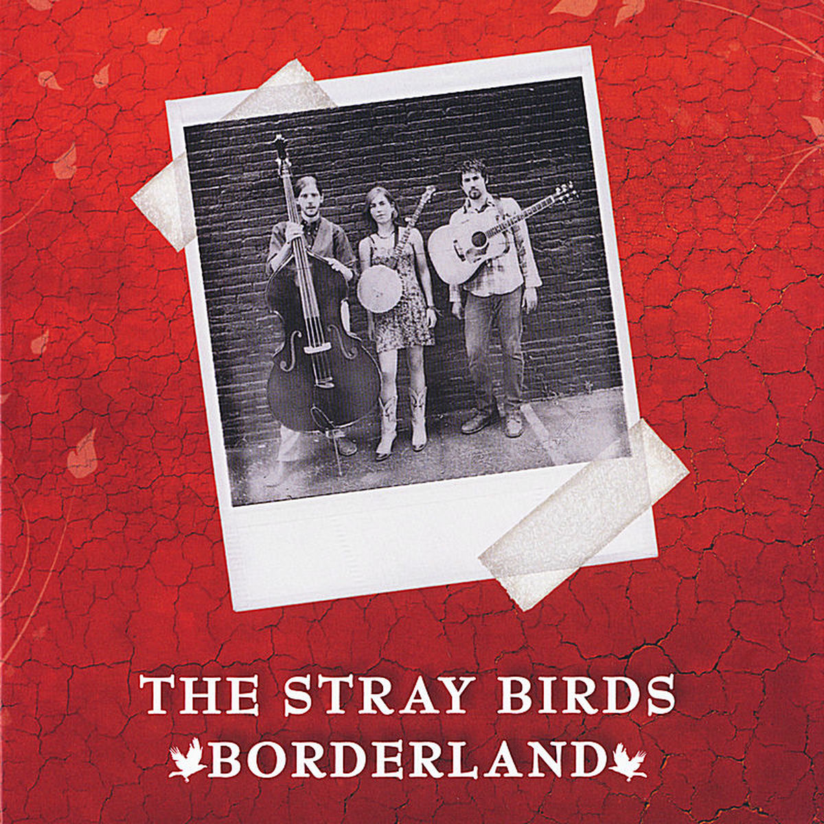 Album cover of Borderland