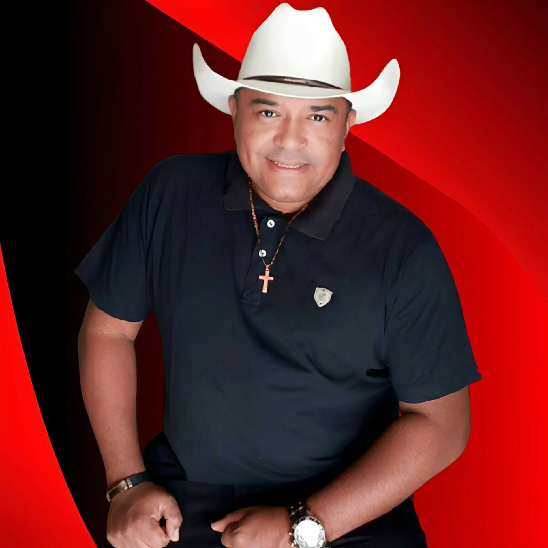 Album cover of No Balanço do Forró Brega