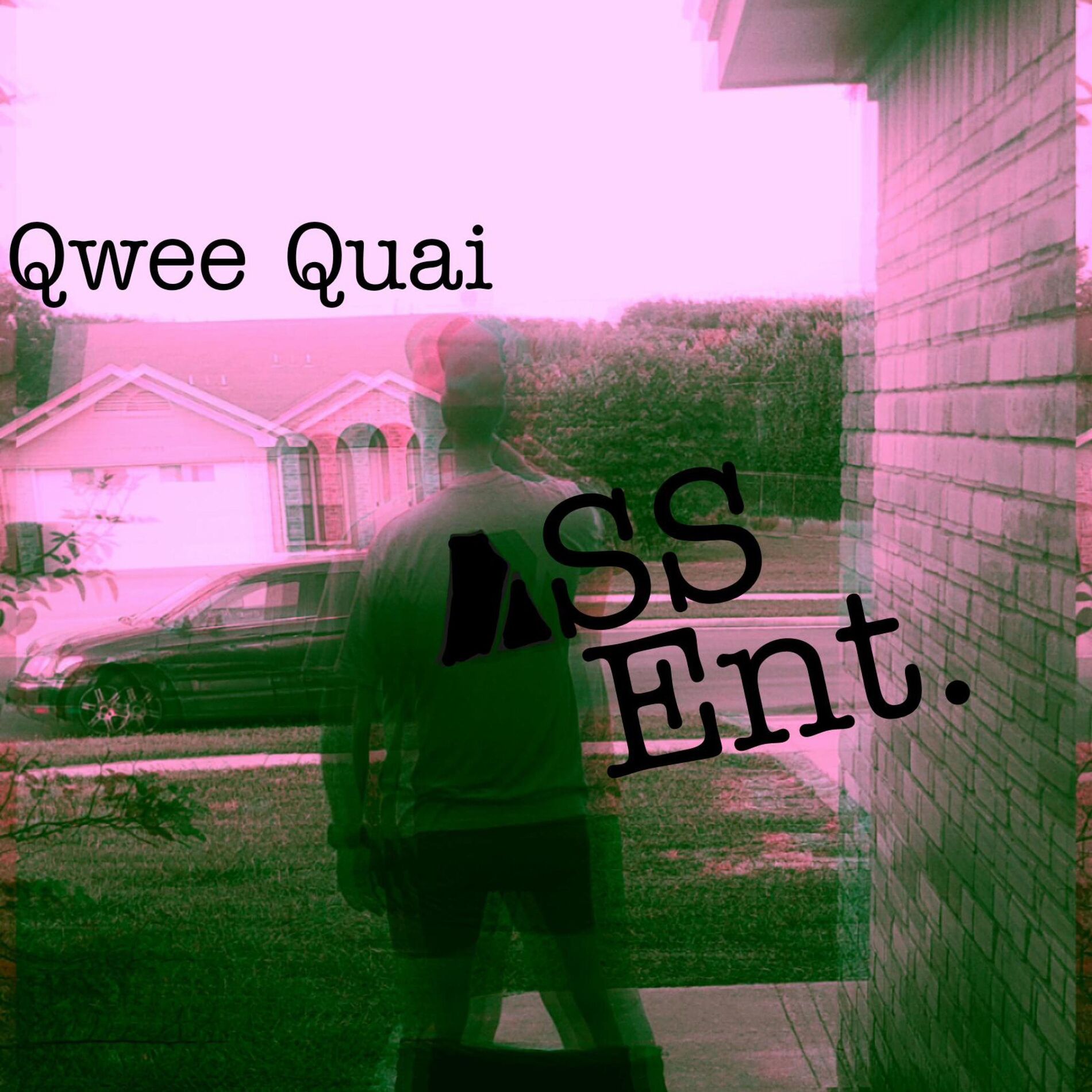 Album cover of Ass Ent.