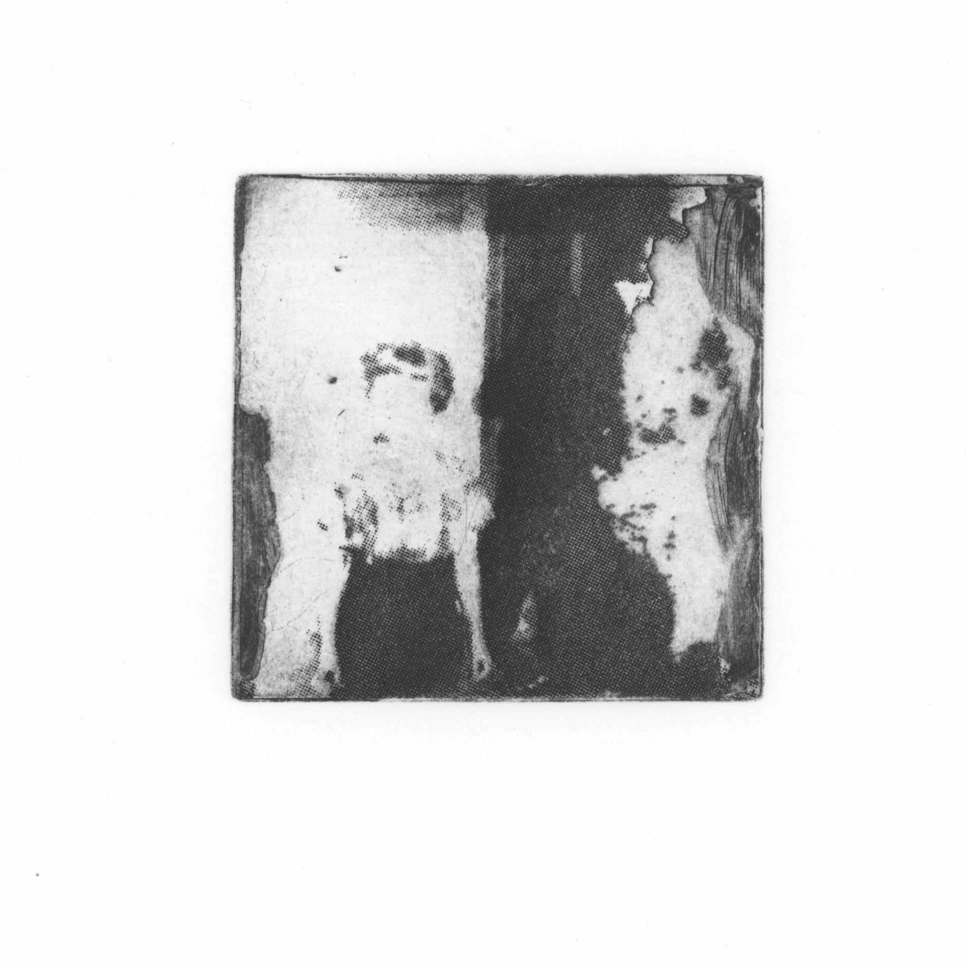 Album cover of Another Bird Song