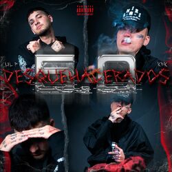 Cover of DESQUEHACERADOS 5.0