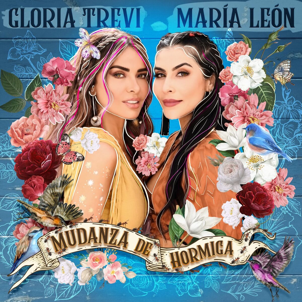 Album cover of Mudanza de Hormiga