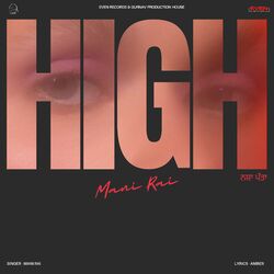 Cover of High