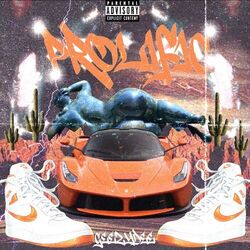 Cover of Prolific EP