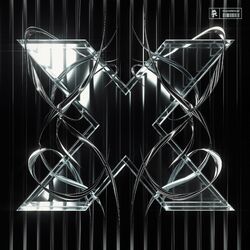 Cover of The X Saga