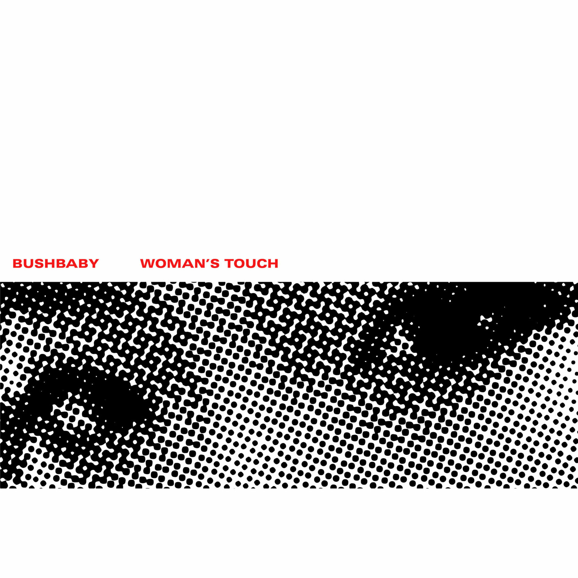 Album cover of Woman's Touch