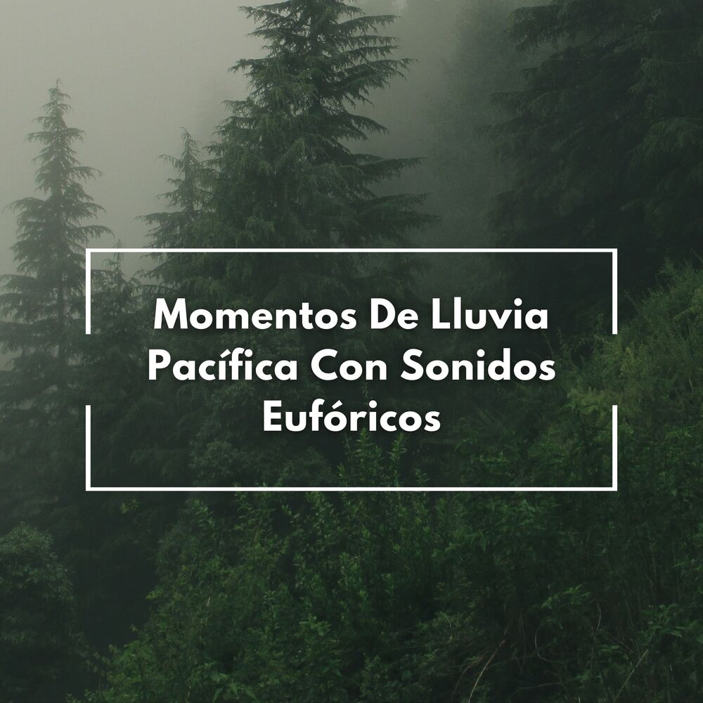 Picture of Momentos De Lluvia Pacífica Con Sonidos Eufóricos