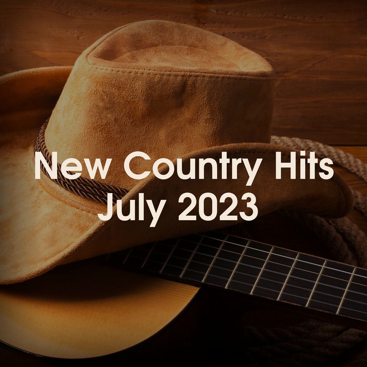 Album cover of I Run On Country