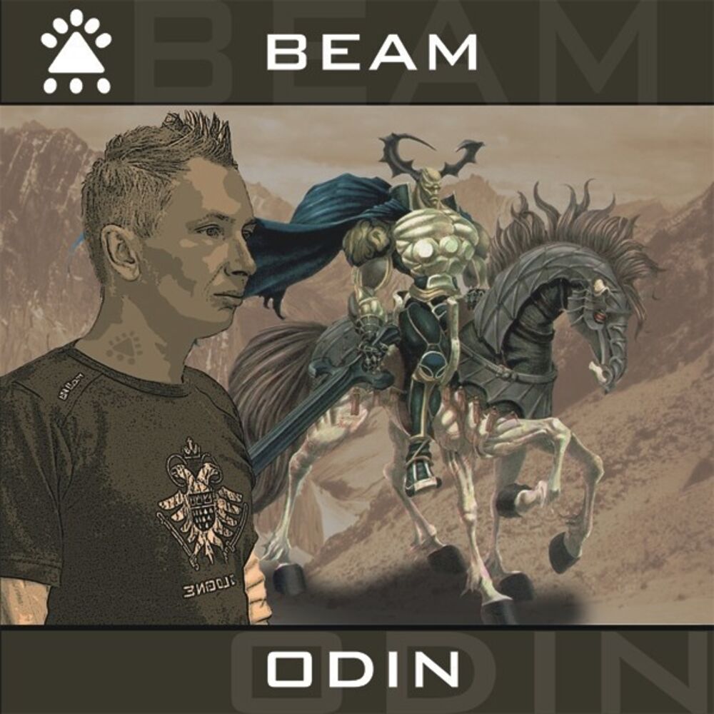 Picture of Odin