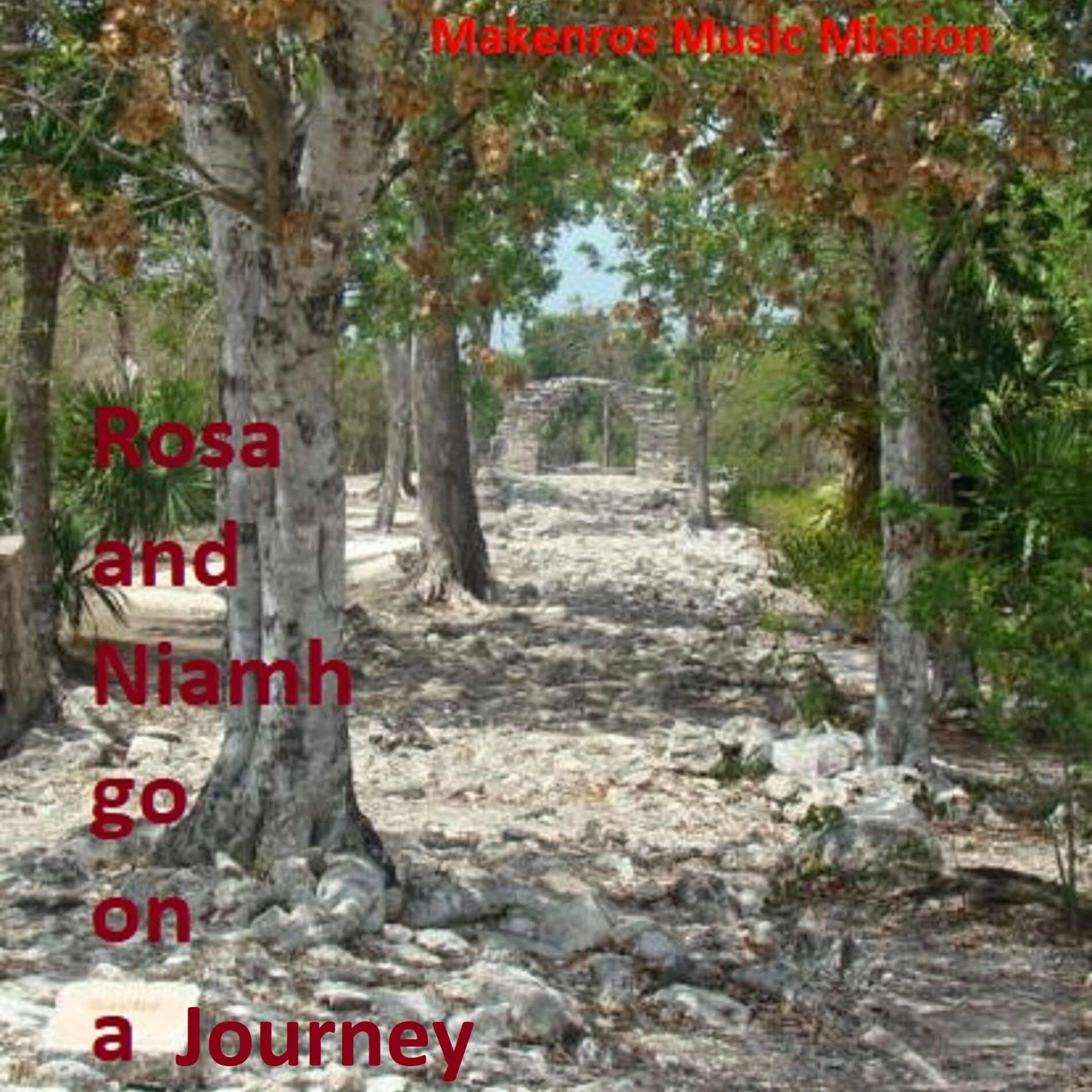 Album cover of Rosa and Niamh go on a Journey