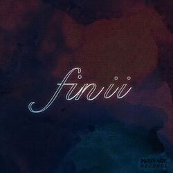 Cover of fin ii