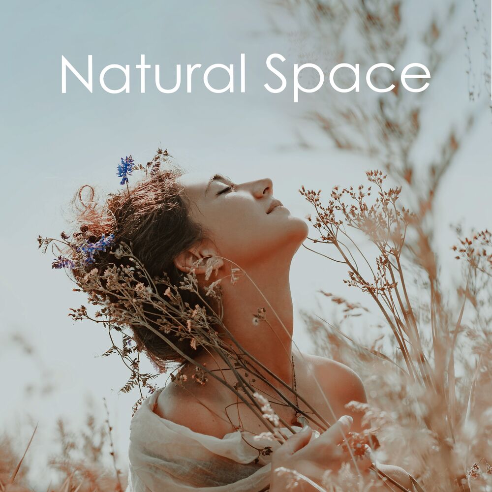 Picture of Natural Space: Bring the Sounds of Nature into Your Home and Just Relax