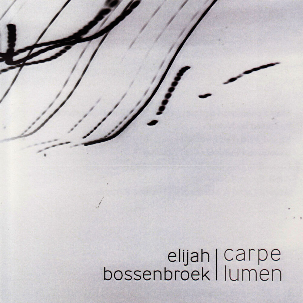 Picture of Carpe Lumen