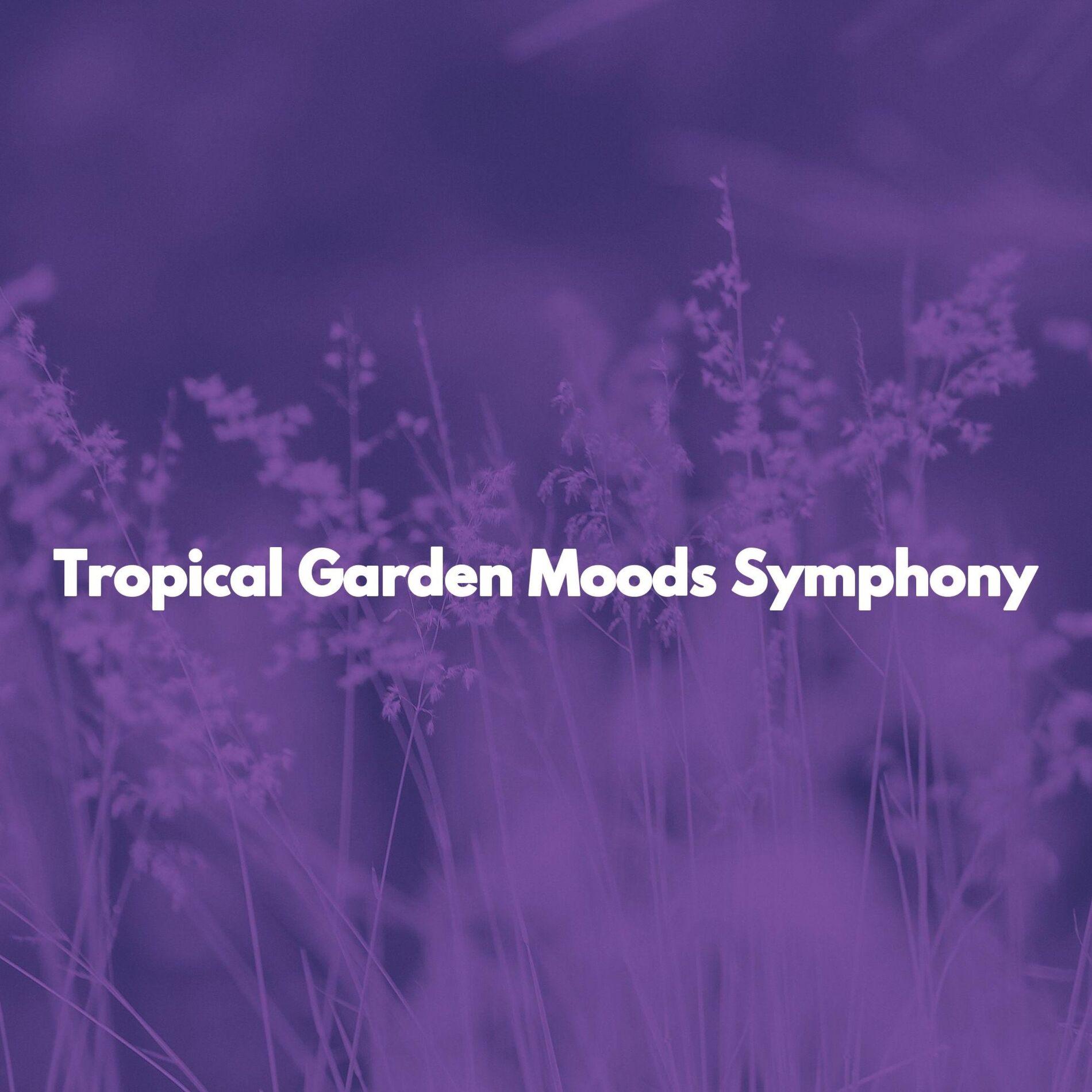 Album cover of Tropical Garden Moods Symphony