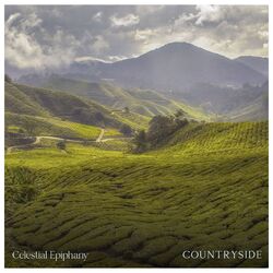 Countryside