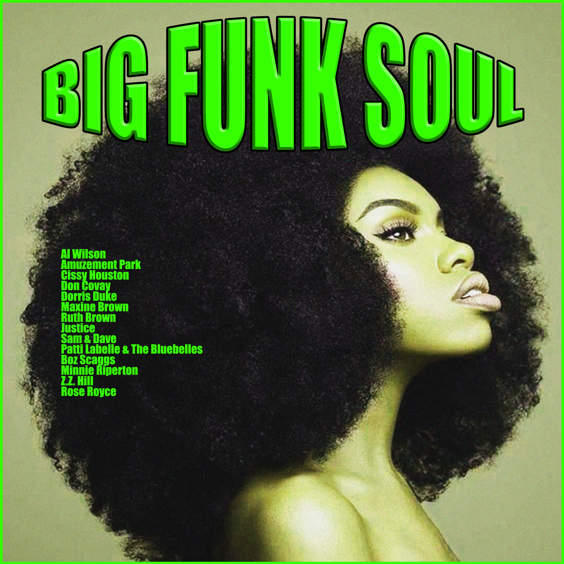 Album cover of Big Funk Soul