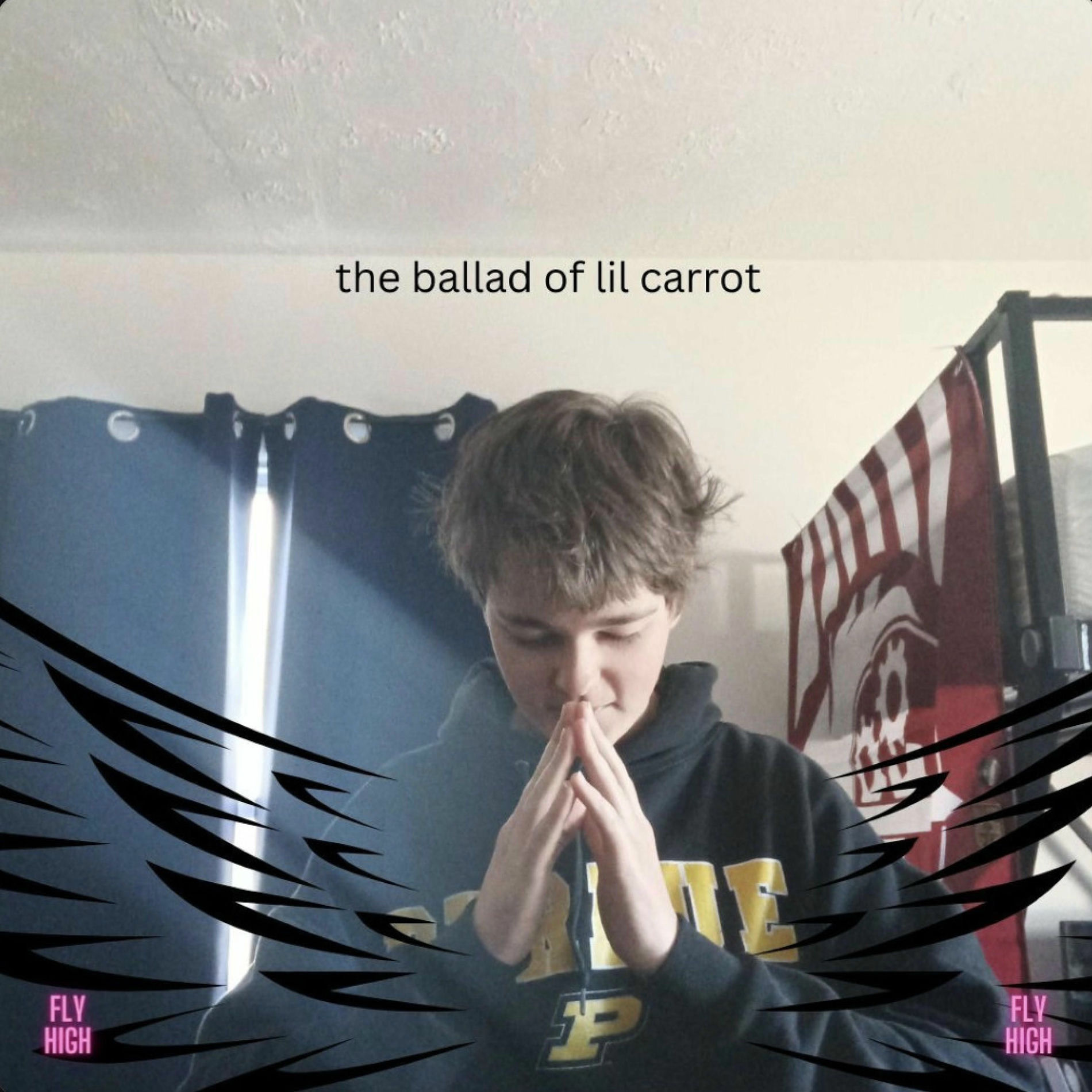 Album cover of THE BALLAD OF LIL CARROT