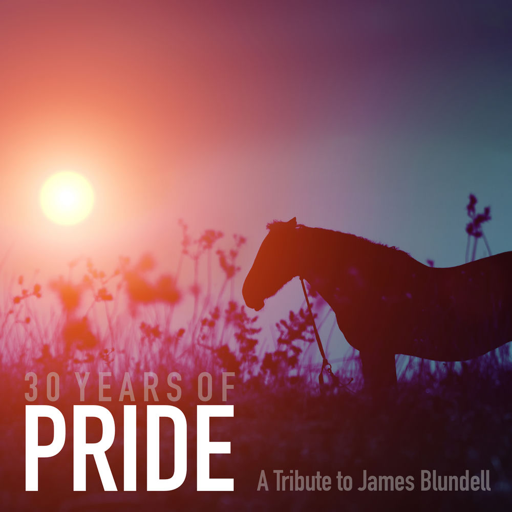 Album artwork for Down On The Farm by James Blundell