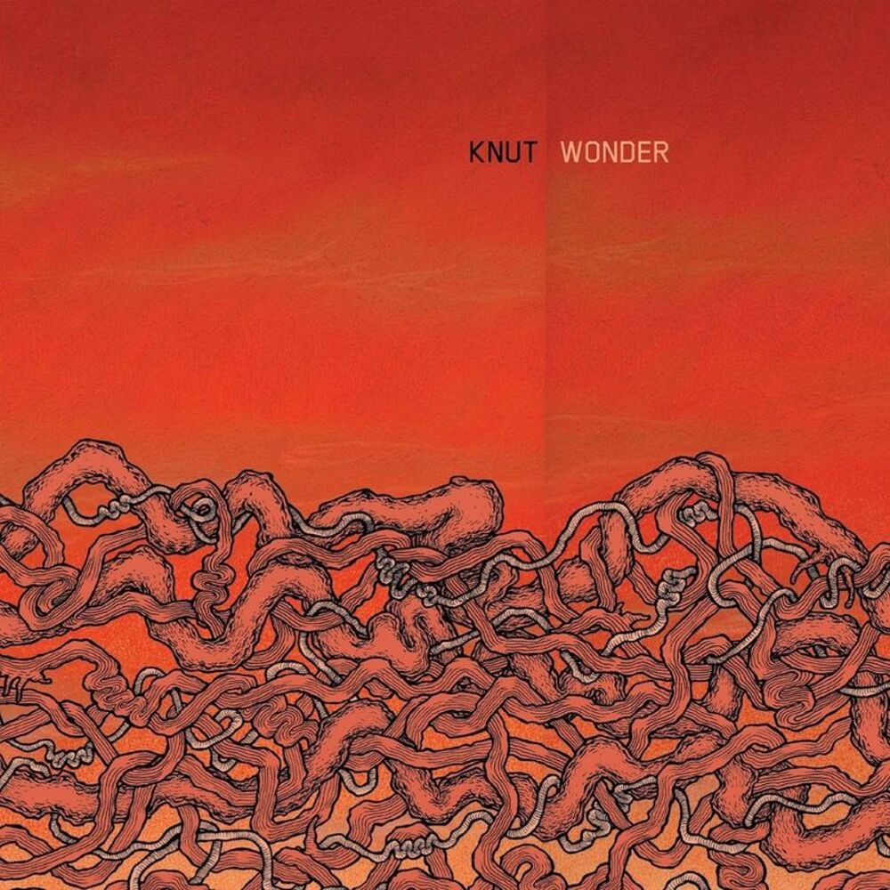 Picture of Wonder