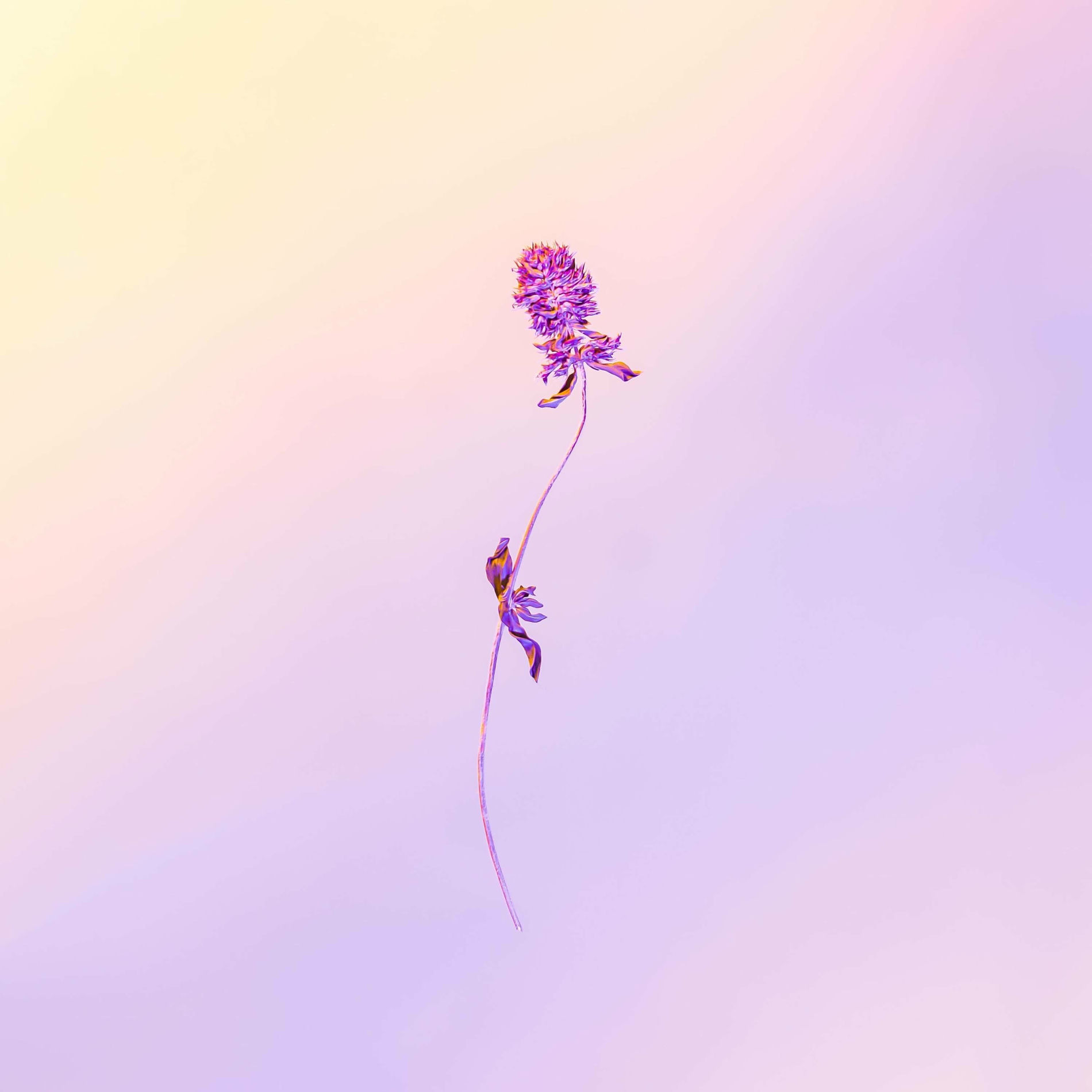 Album cover of Escape Reality