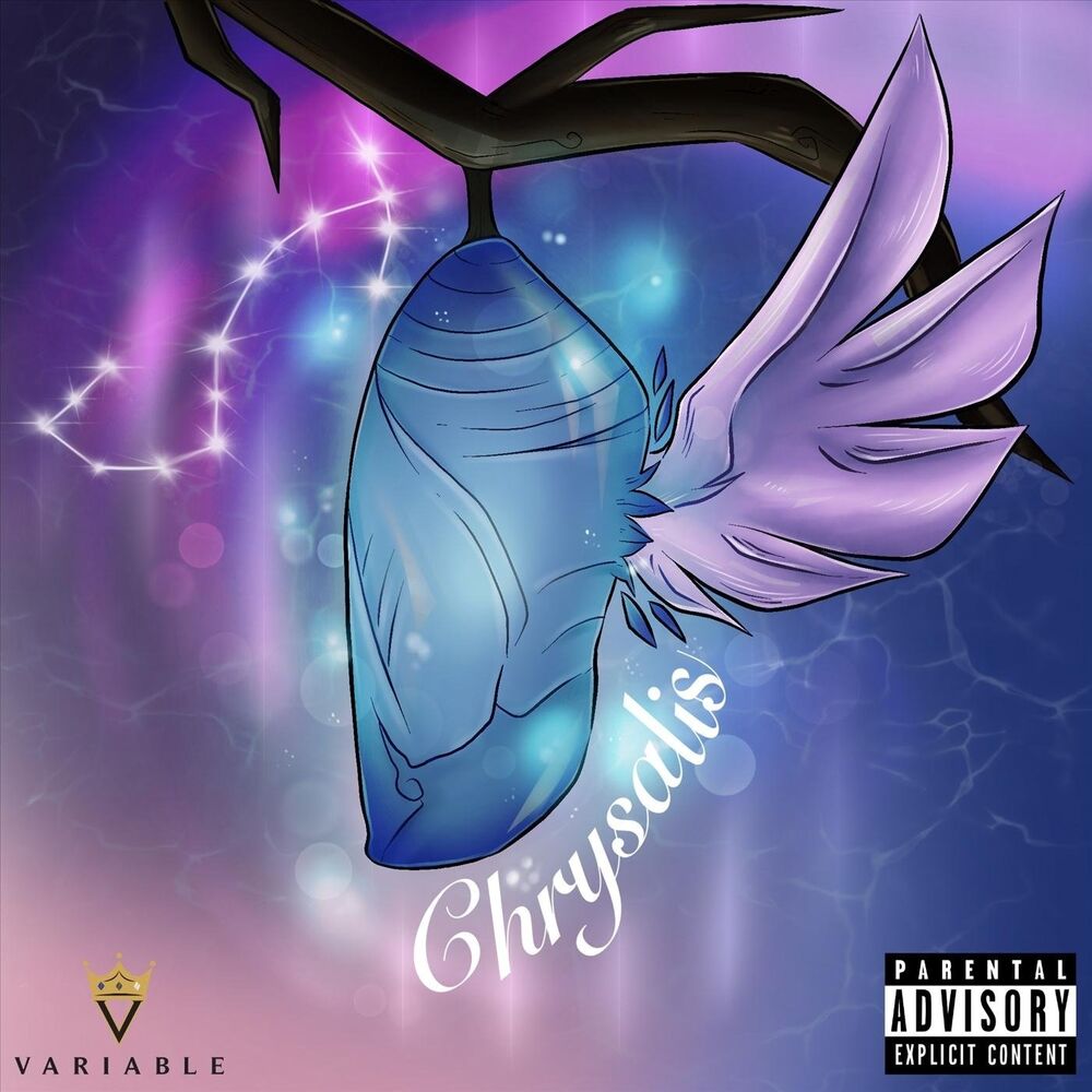 Picture of Chrysalis