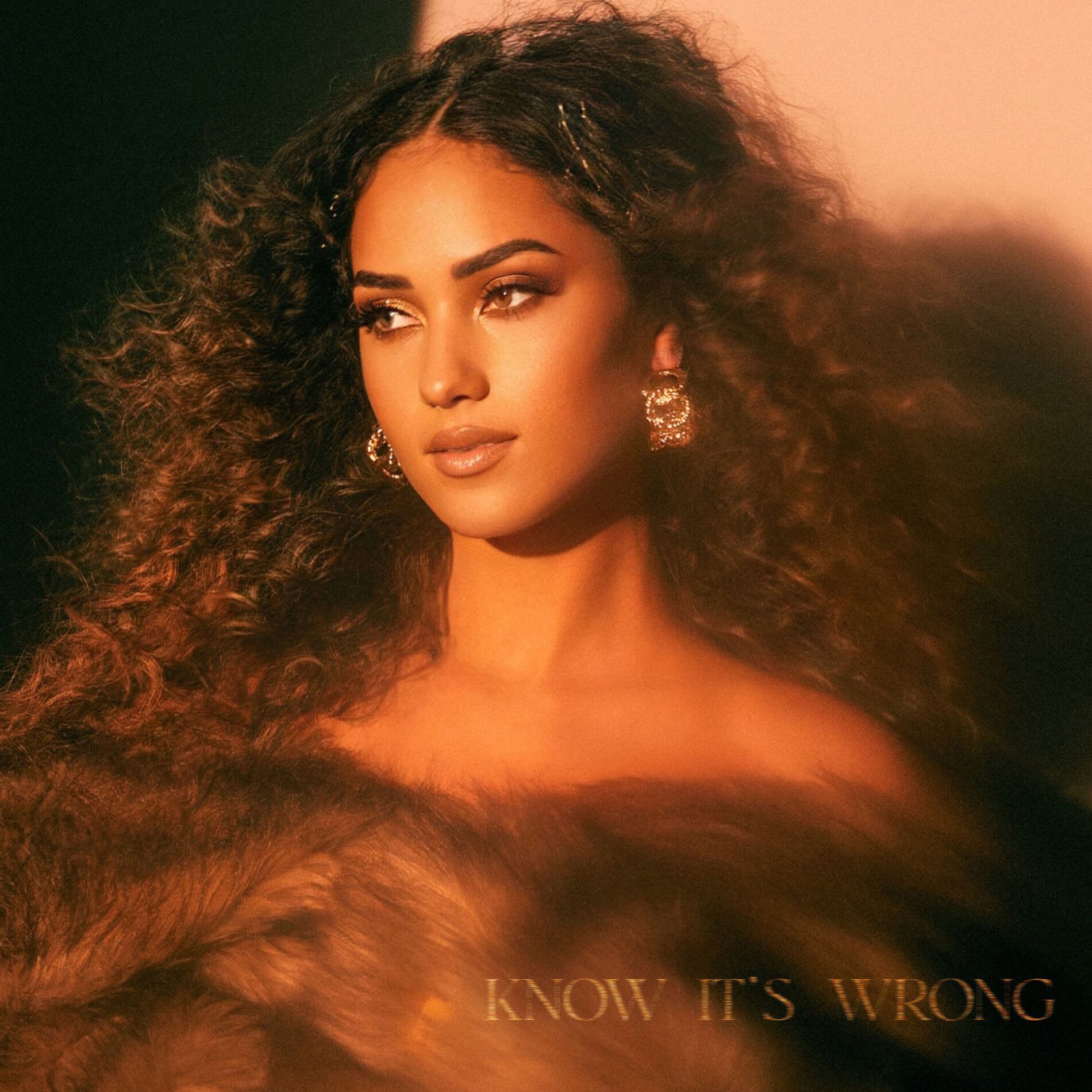 Album cover of Know It's Wrong