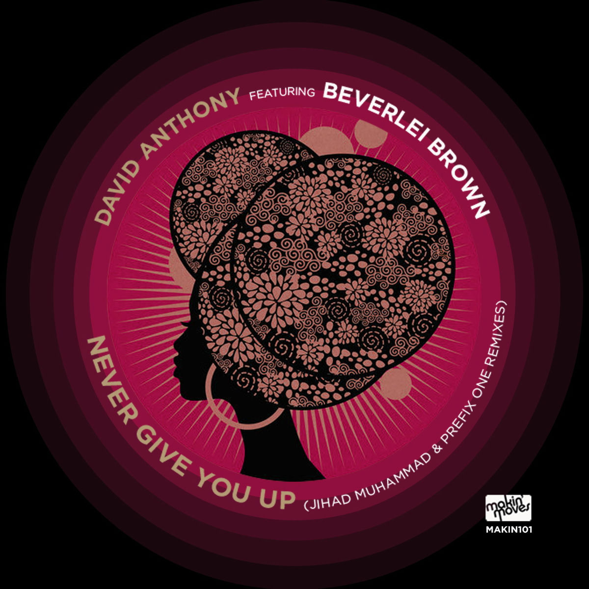 Album cover of Never Give You Up (Remixes)