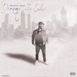 Cover of Dreamin In Color