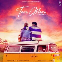 Cover of Teri Meri