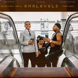 Cover of Amalevels (Extended)