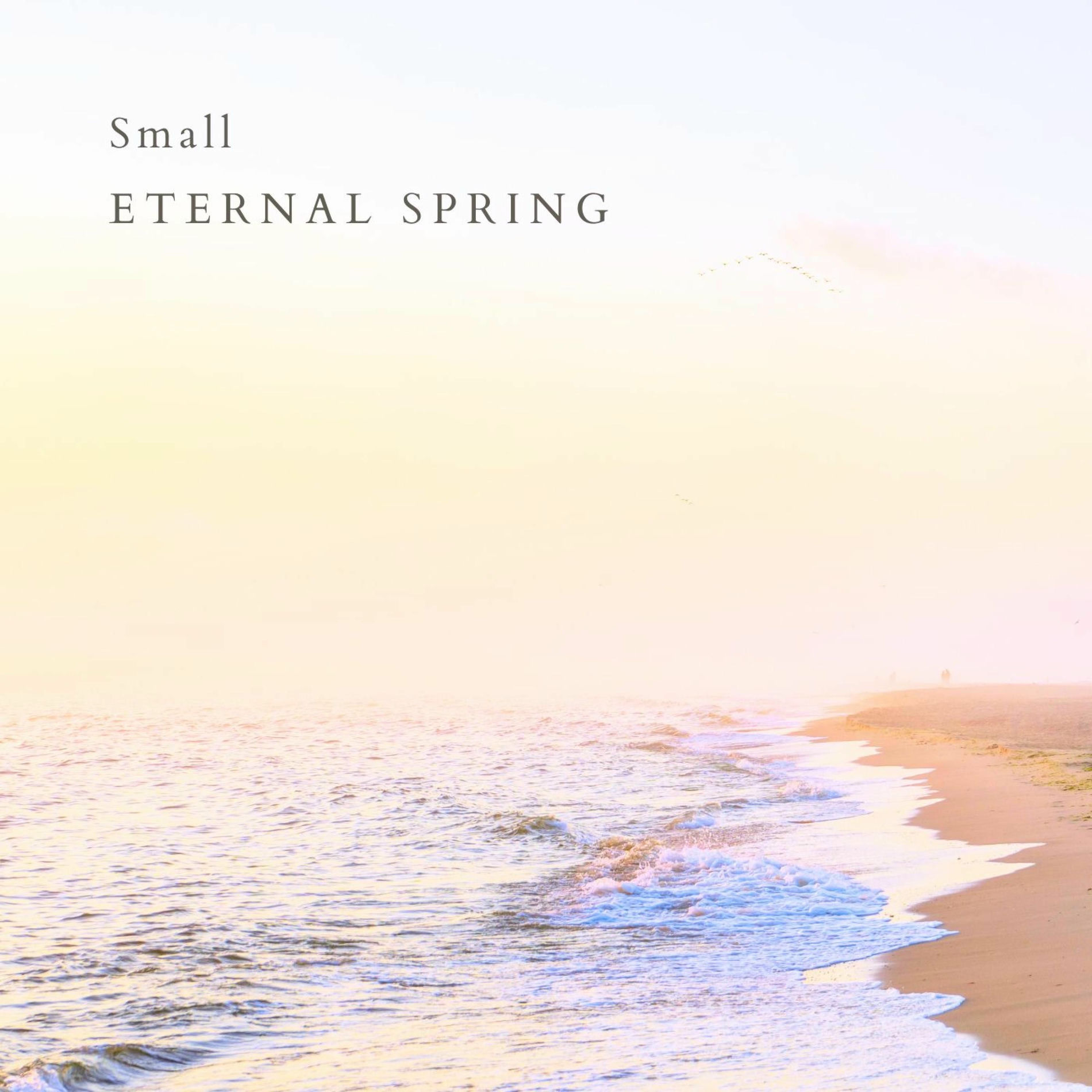 Album cover of Small