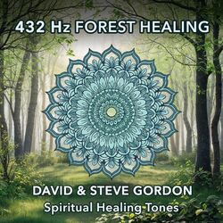 Cover of 432 Hz Forest Healing