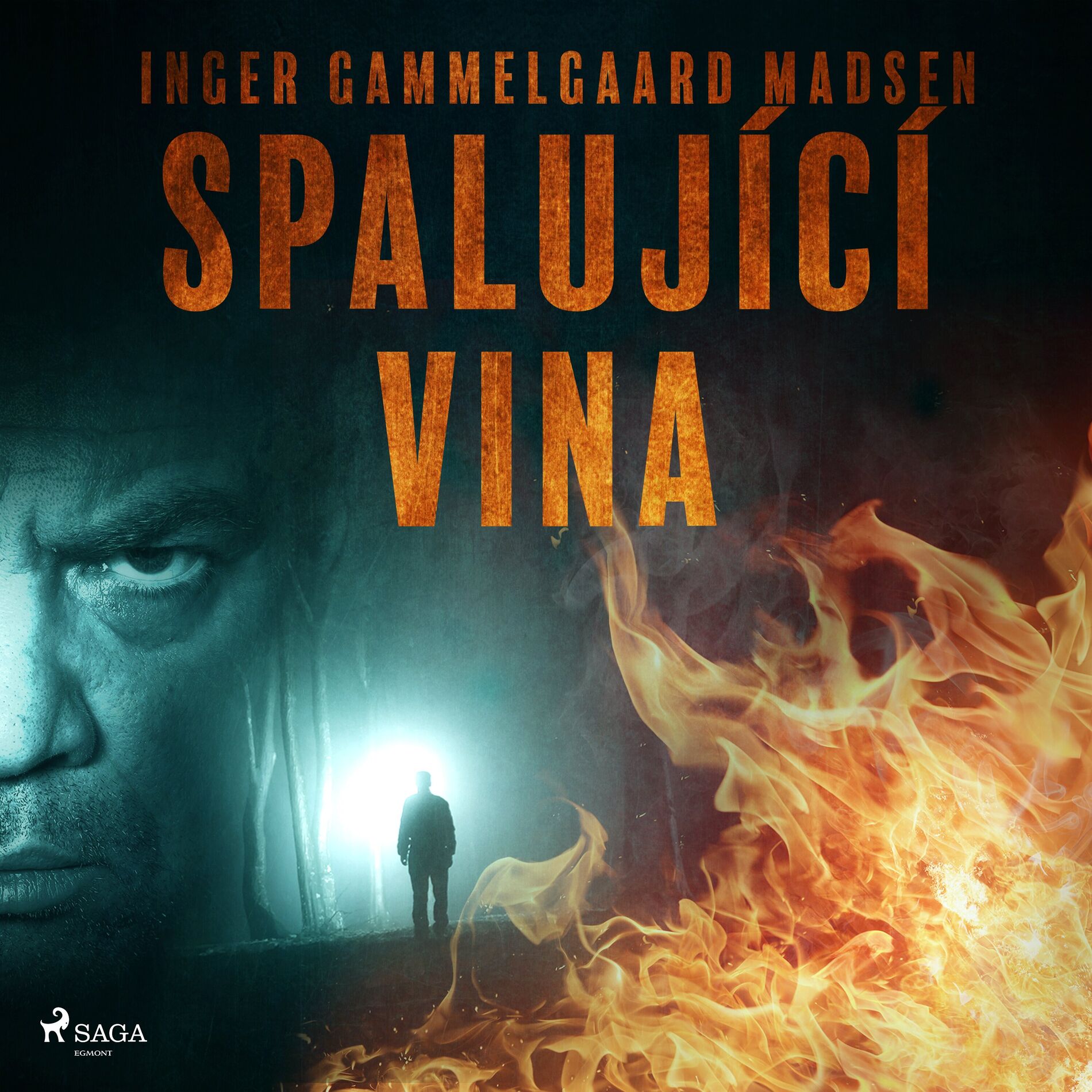 Album cover of Spalující vina