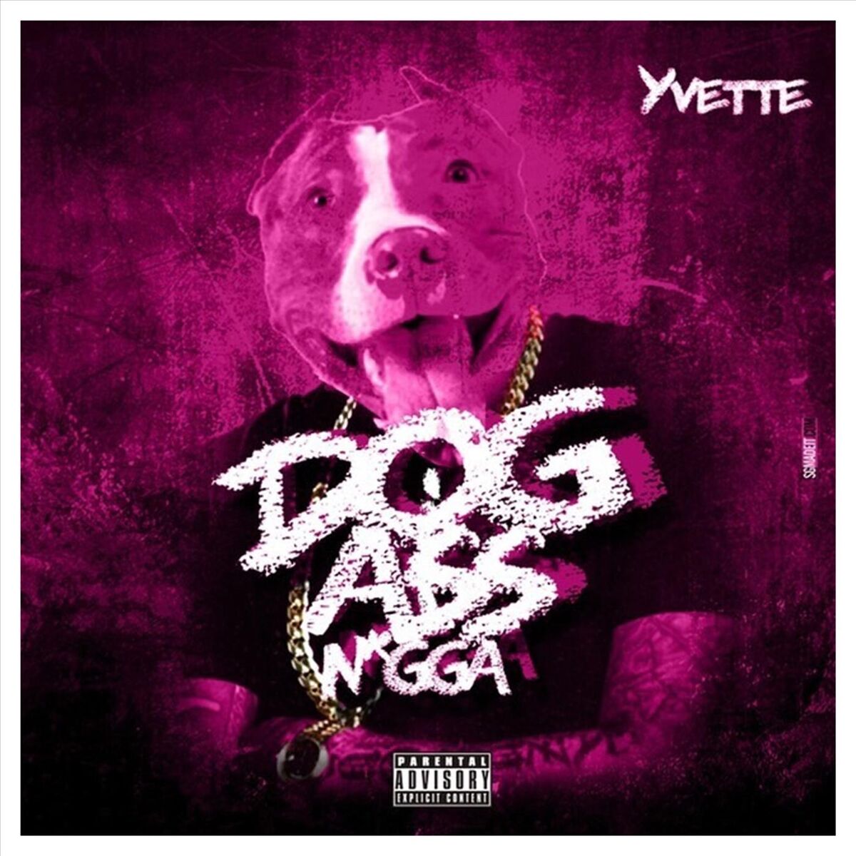 Album cover of Dog Ass Nigga