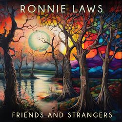 Cover of Friends And Strangers (Re-Recorded)