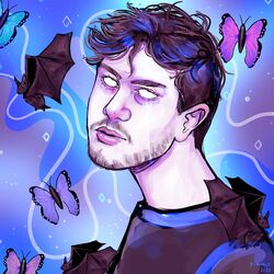 Cover of Butterflies & Bats