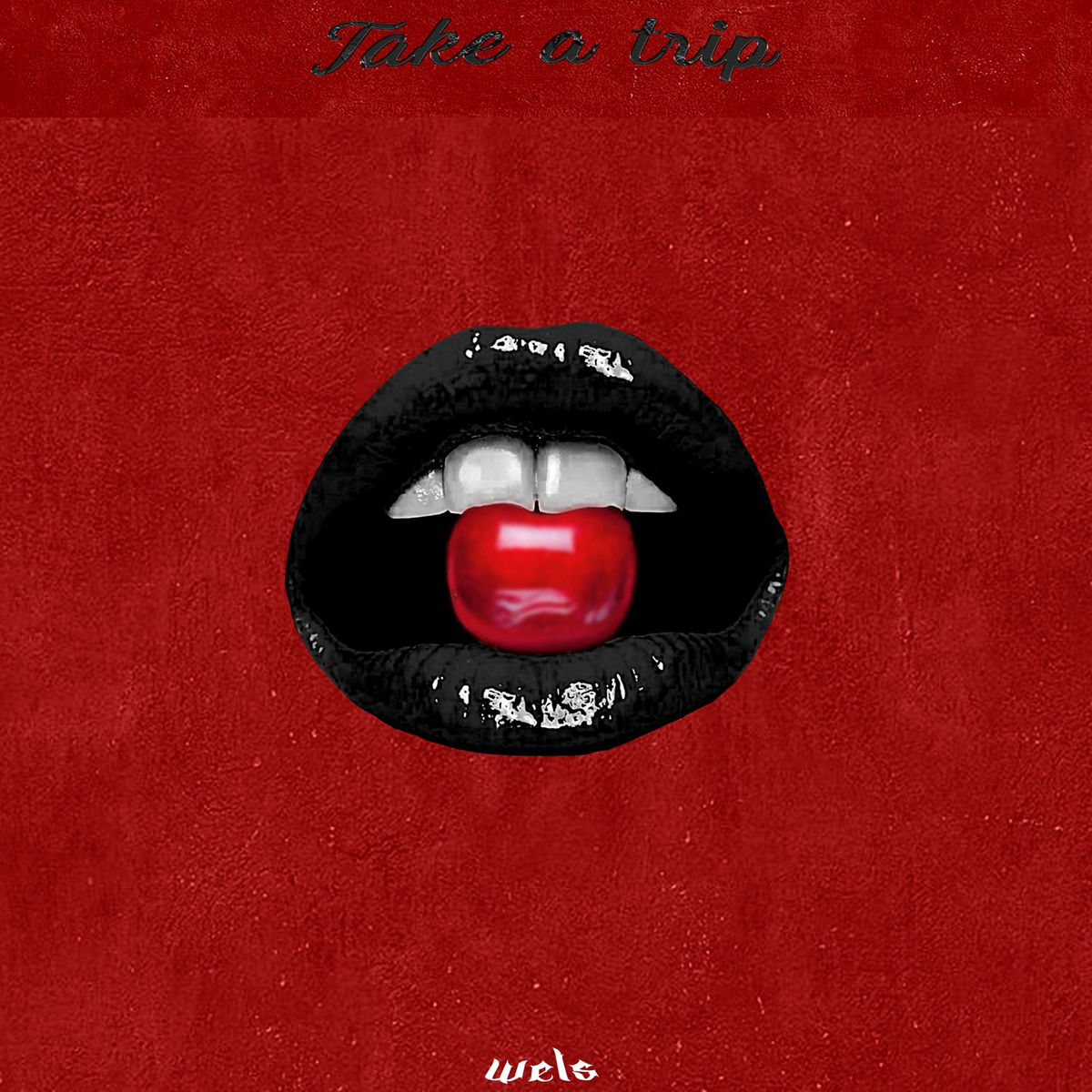 Album cover of TAKE A TRIP