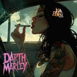 Cover of Ya Burn