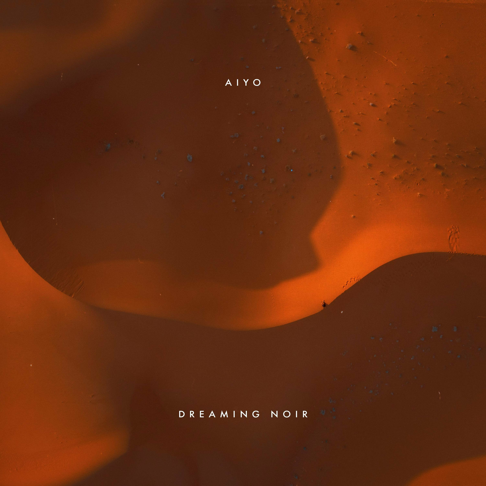 Album cover of Dreaming Noir