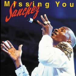 Cover of Missing You