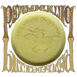 Cover of Psychedelic Pill