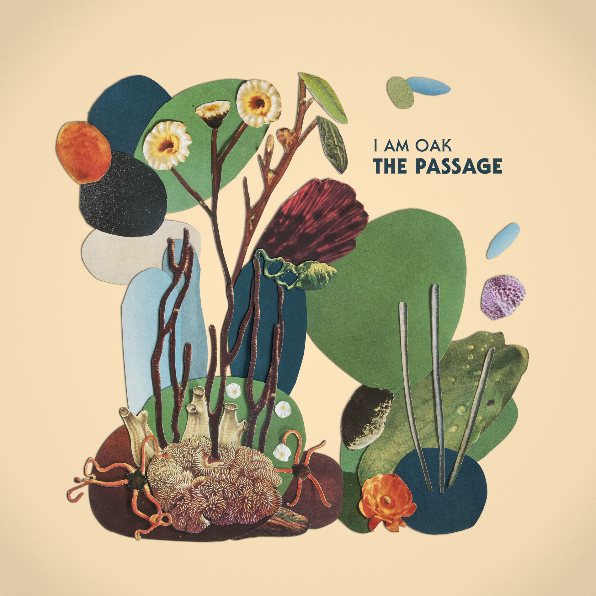 Album cover of The Passage