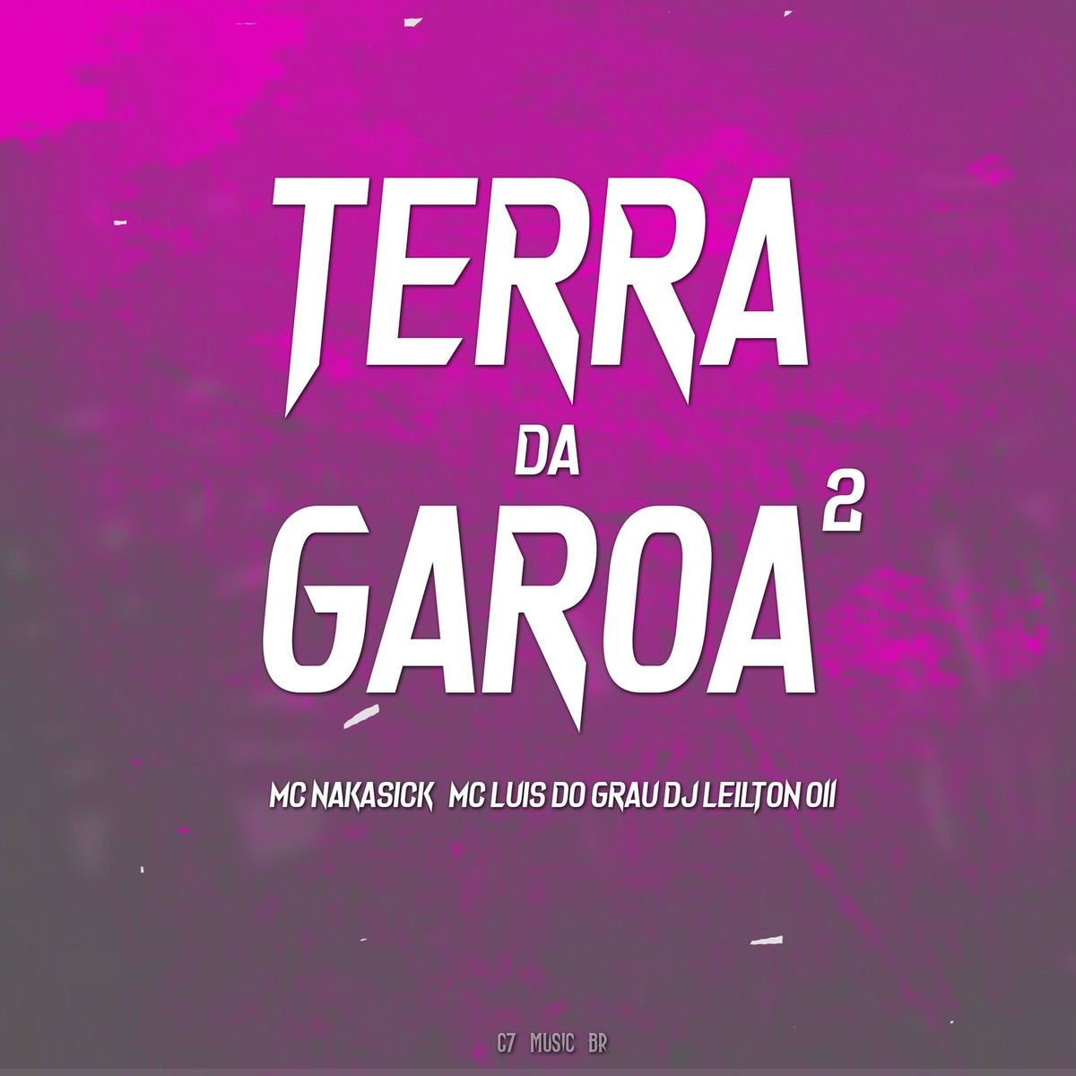 Album cover of TERRA DA GAROA 2