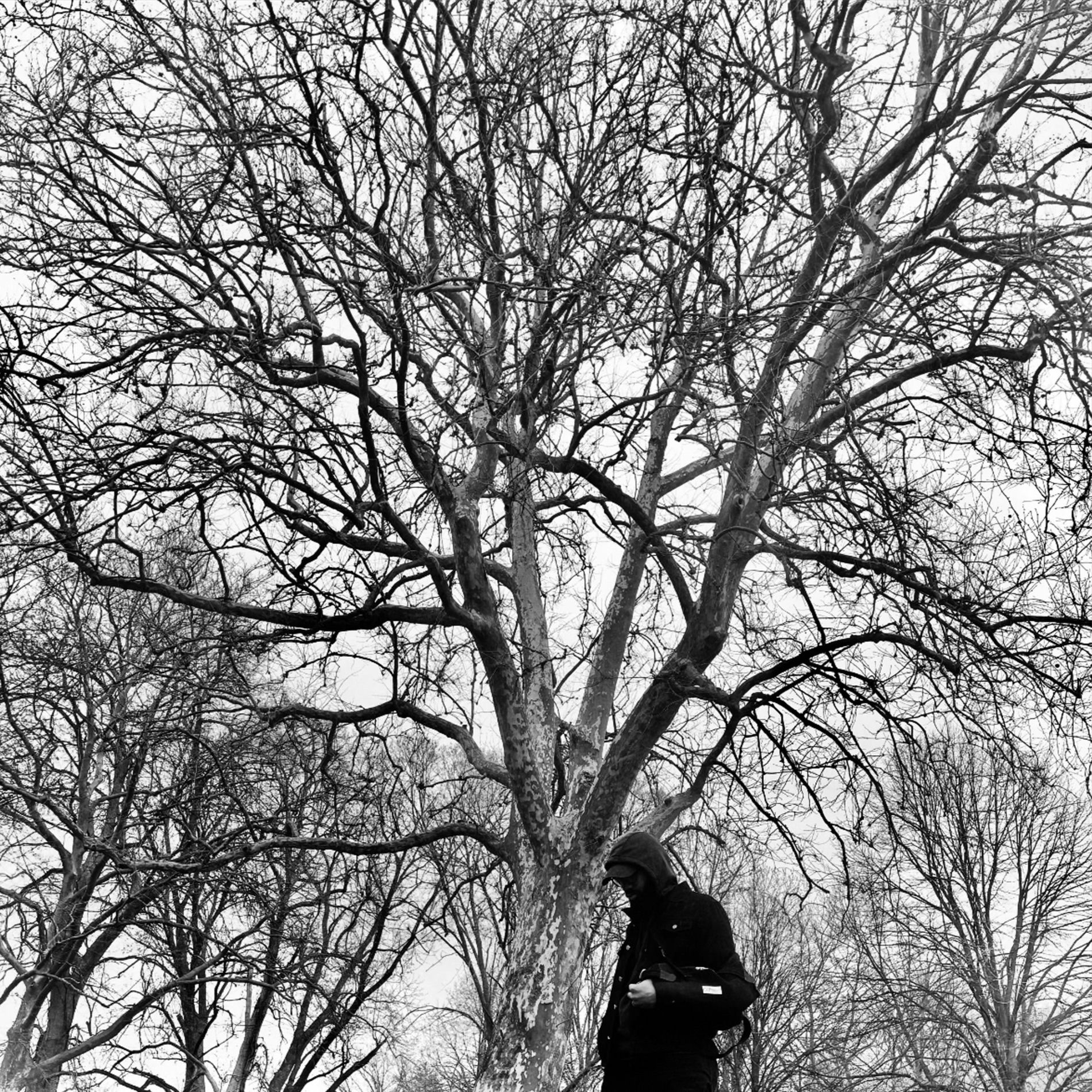 Album cover of The Move