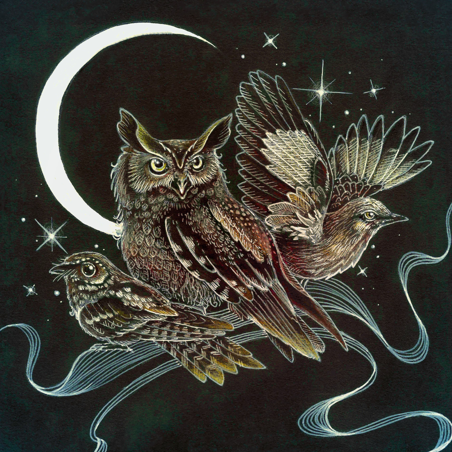 Album cover of Certain Birds