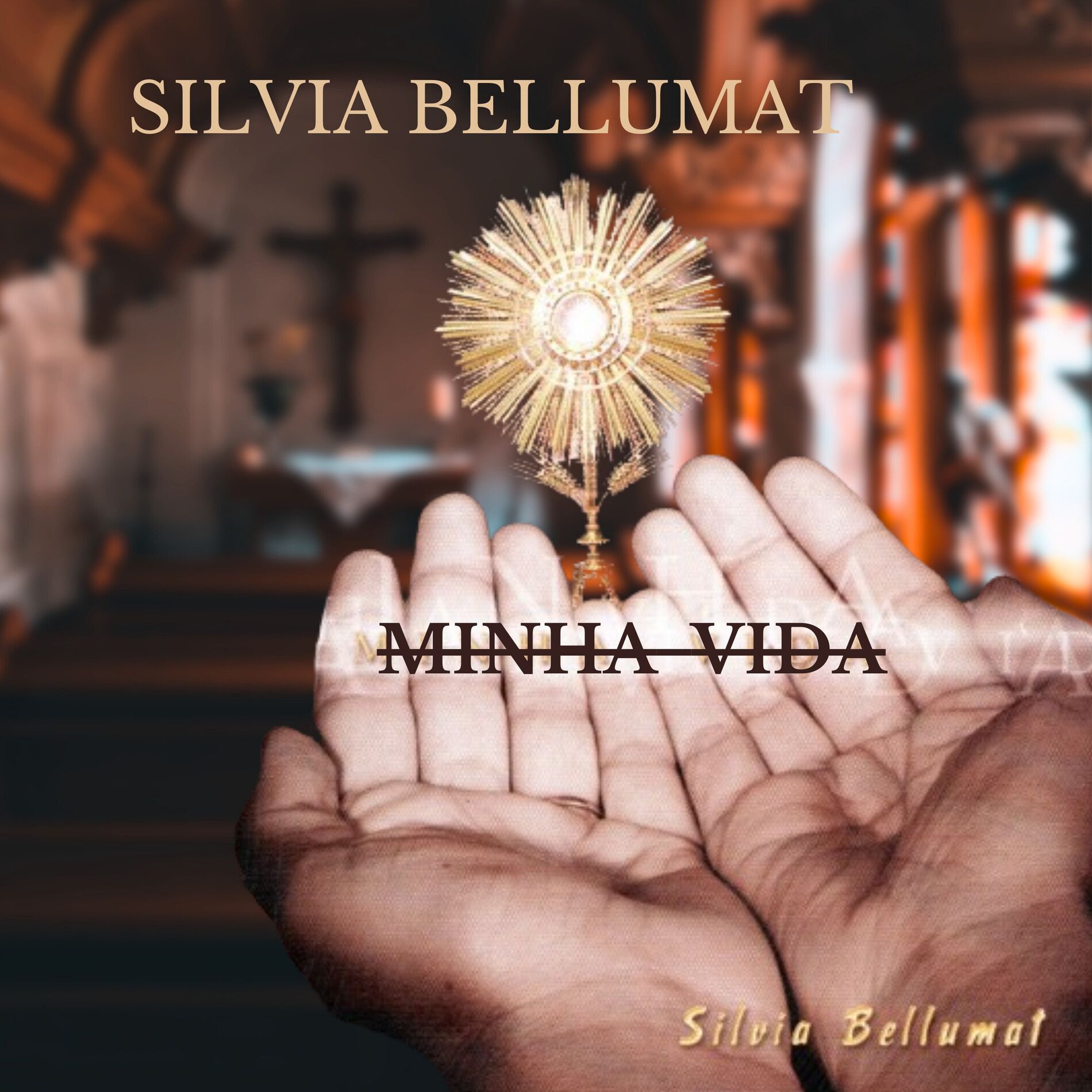 Album cover of Minha Vida