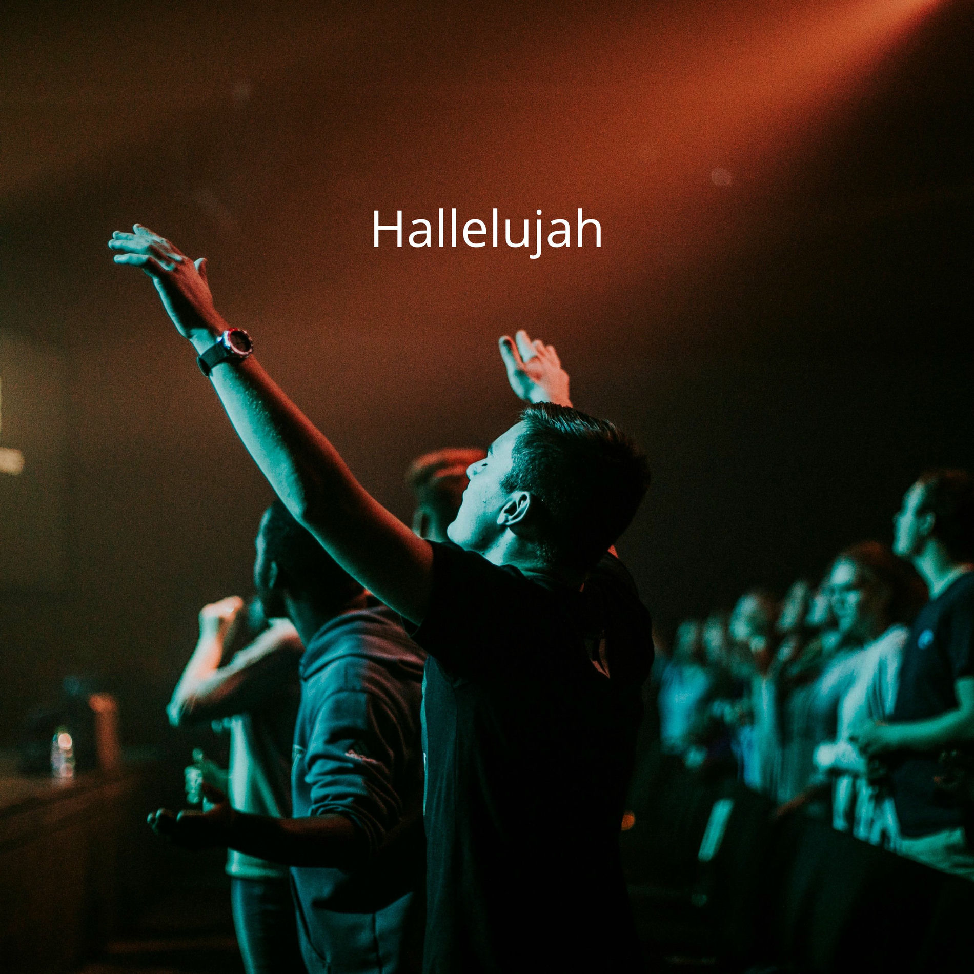 Album cover of Hallelujah