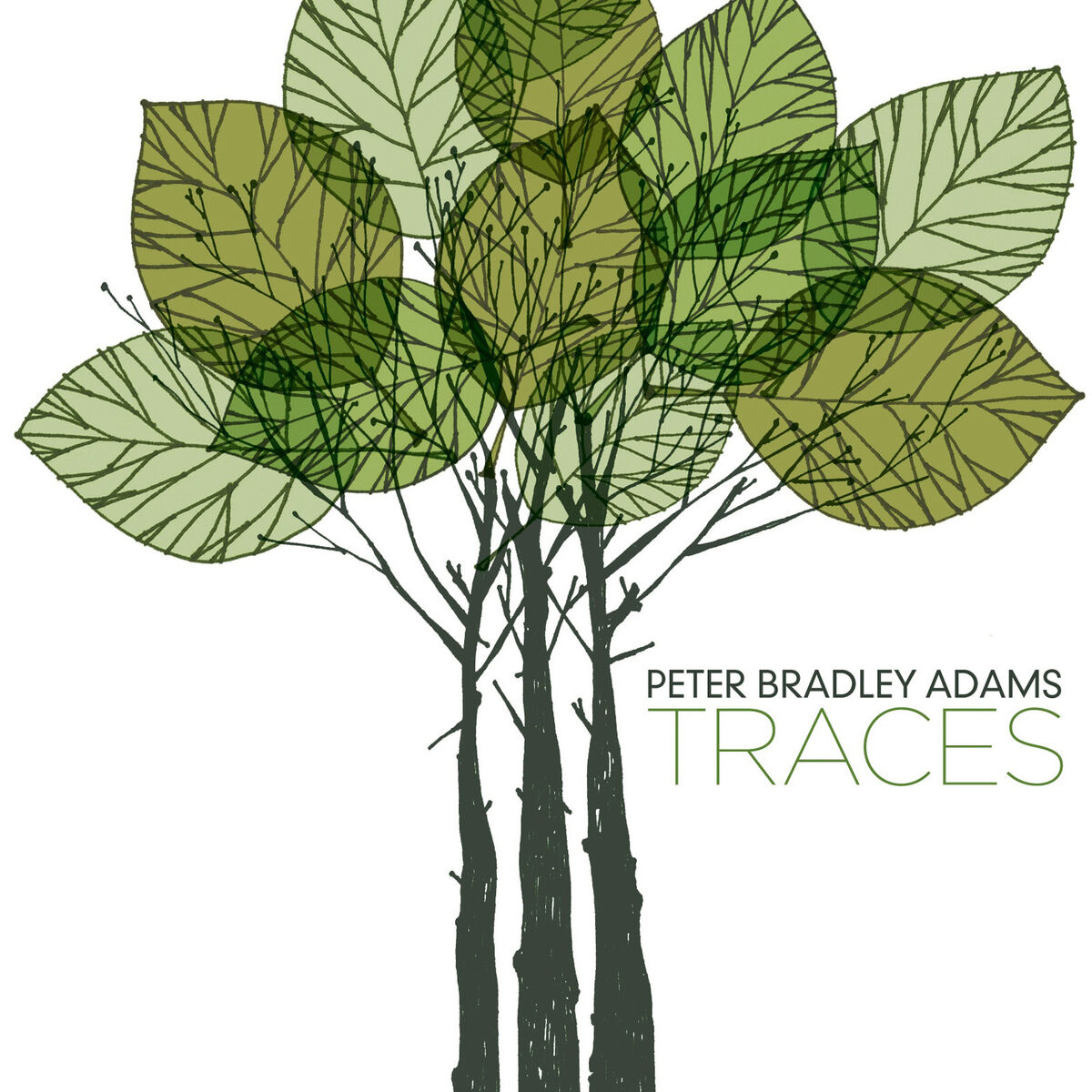 Album cover of Family Name