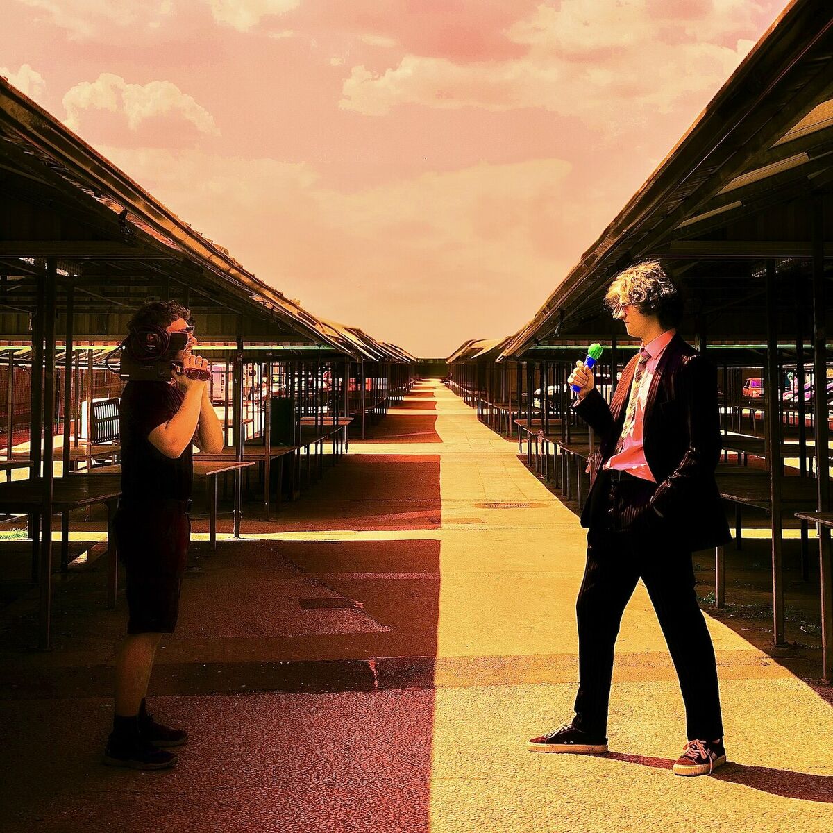 Album cover of I Fell In Love With a Talking Head